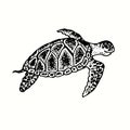 Sea turtle Chelonioidea, marine turtle side view. Ink black and white drawing. Royalty Free Stock Photo